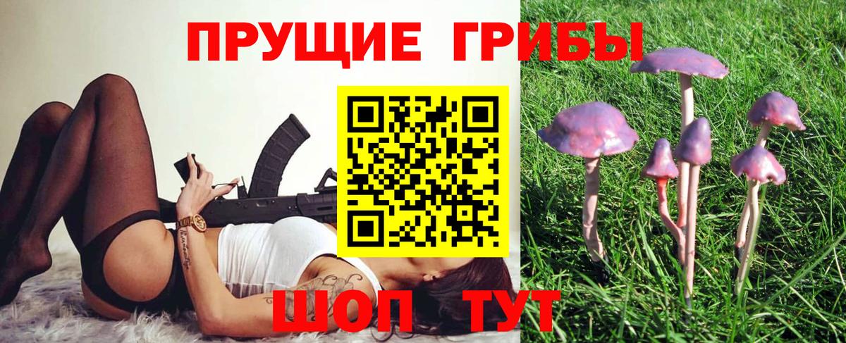 Ноябрьск  Псилоцибиновые грибы Cubensis  Вход с VPN  Псилоцибиновые грибы Psilocybine cubensis 