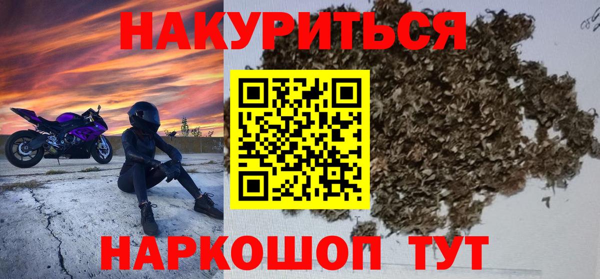 Каннабис семена Ноябрьск